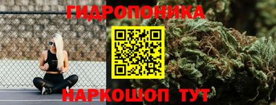 эйфоретик Обнинск