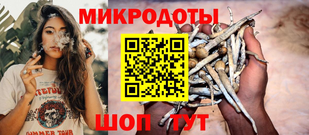 Галлюциногенные грибы прущие грибы Павлово