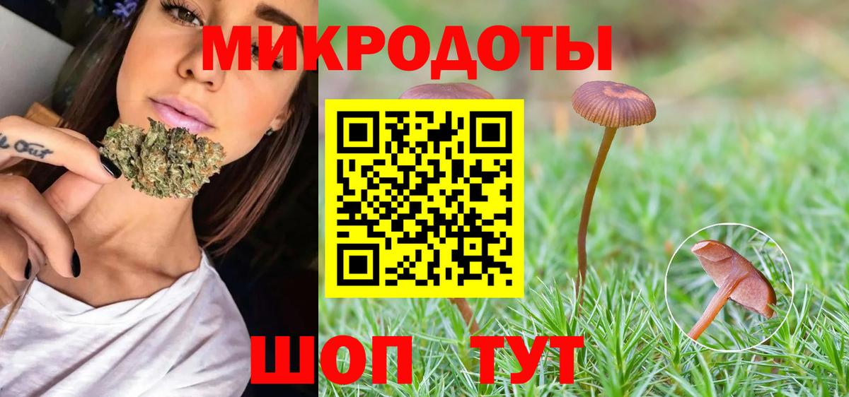 Павлово  Галлюциногенные грибы прущие грибы  Вход с VPN  Псилоцибиновые грибы Magic Shrooms 